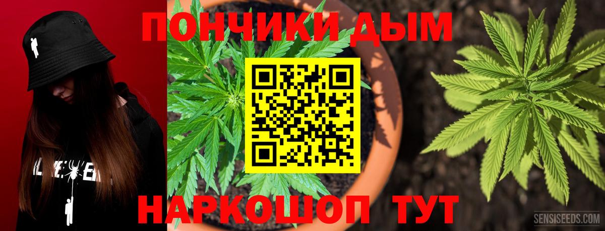 Бошки Шишки тримм  Конопля Bruce Banner  Лянтор  Вход с VPN  Конопля план 
